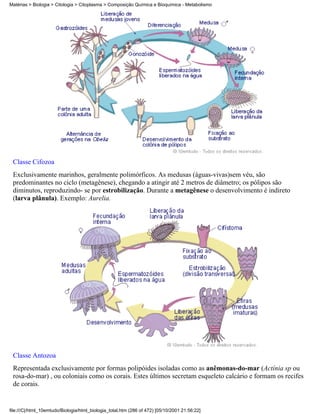 Matérias > Biologia > Citologia > Citoplasma > Composição Química e Bioquímica - Metabolismo




 Classe Cifozoa
 Exclusivamente marinhos, geralmente polimórficos. As medusas (águas-vivas)sem véu, são
 predominantes no ciclo (metagênese), chegando a atingir até 2 metros de diâmetro; os pólipos são
 diminutos, reproduzindo- se por estrobilização. Durante a metagênese o desenvolvimento é indireto
 (larva plânula). Exemplo: Aurelia.




 Classe Antozoa
 Representada exclusivamente por formas polipóides isoladas como as anêmonas-do-mar (Actínia sp ou
 rosa-do-mar) , ou coloniais como os corais. Estes últimos secretam esqueleto calcário e formam os recifes
 de corais.


file:///C|/html_10emtudo/Biologia/html_biologia_total.htm (286 of 472) [05/10/2001 21:56:22]
 