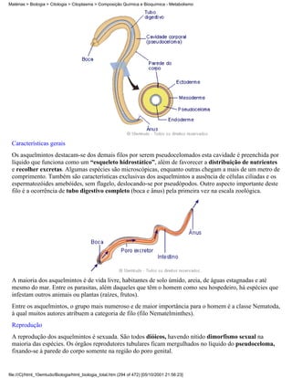 Matérias > Biologia > Citologia > Citoplasma > Composição Química e Bioquímica - Metabolismo




 Características gerais
 Os asquelmintos destacam-se dos demais filos por serem pseudocelomados esta cavidade é preenchida por
 líquido que funciona como um “esqueleto hidrostático”, além de favorecer a distribuição de nutrientes
 e recolher excretas. Algumas espécies são microscópicas, enquanto outras chegam a mais de um metro de
 comprimento. Também são características exclusivas dos asquelmintos a ausência de células ciliadas e os
 espermatozóides amebóides, sem flagelo, deslocando-se por pseudópodos. Outro aspecto importante deste
 filo é a ocorrência de tubo digestivo completo (boca e ânus) pela primeira vez na escala zoológica.




 A maioria dos asquelmintos é de vida livre, habitantes de solo úmido, areia, de águas estagnadas e até
 mesmo do mar. Entre os parasitas, além daqueles que têm o homem como seu hospedeiro, há espécies que
 infestam outros animais ou plantas (raízes, frutos).
 Entre os asquelmintos, o grupo mais numeroso e de maior importância para o homem é a classe Nematoda,
 à qual muitos autores atribuem a categoria de filo (filo Nematelminthes).
 Reprodução
 A reprodução dos asquelmintos é sexuada. São todos dióicos, havendo nítido dimorfismo sexual na
 maioria das espécies. Os órgãos reprodutores tubulares ficam mergulhados no líquido do pseudoceloma,
 fixando-se à parede do corpo somente na região do poro genital.


file:///C|/html_10emtudo/Biologia/html_biologia_total.htm (294 of 472) [05/10/2001 21:56:23]
 