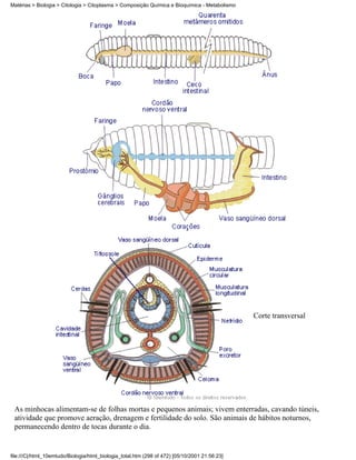 Matérias > Biologia > Citologia > Citoplasma > Composição Química e Bioquímica - Metabolismo




                                                                                               Corte transversal




 As minhocas alimentam-se de folhas mortas e pequenos animais; vivem enterradas, cavando túneis,
 atividade que promove aeração, drenagem e fertilidade do solo. São animais de hábitos noturnos,
 permanecendo dentro de tocas durante o dia.


file:///C|/html_10emtudo/Biologia/html_biologia_total.htm (298 of 472) [05/10/2001 21:56:23]
 