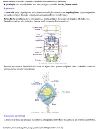 Matérias > Biologia > Citologia > Citoplasma > Composição Química e Bioquímica - Metabolismo

 Reprodução: são hermafroditas, mas a fecundação é cruzada. Não há formas larvais.
 Reprodução
 Assexuada: entre os poliquetos pode ocorrer reprodução assexuada por esquizogênese: pequenas porções
 da região posterior do corpo se destacam, diferenciando novos indivíduos.
 Sexuada: há anelídeos dióicos (poliquetos), e muitas espécies monóicas (oligoquetos e hirudíneos).
 Quando monóicas, a fecundação é interna, sendo o desenvolvimento direto.




 Entre os poliquetos a fecundação é externa, e o zigoto passa por um estágio de larva - trocófora - antes de
 se transformar em um verme jovem.




                                                                                          Trocófora




 Reprodução da minhoca
 A minhoca é monóica: em cada indivíduo há um aparelho reprodutor masculino e um feminino completos,


file:///C|/html_10emtudo/Biologia/html_biologia_total.htm (301 of 472) [05/10/2001 21:56:23]
 