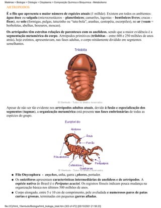 Matérias > Biologia > Citologia > Citoplasma > Composição Química e Bioquímica - Metabolismo

 ARTRÓPODOS
 É o filo que apresenta o maior número de espécies atuais (1 milhão). Existem em todos os ambientes:
 água doce ou salgada (microcrustáceos – planctônicos; camarões, lagostas – bentônicos livres; cracas -
 fixos), no solo (formigas, pulgas, tatuzinho ou “tatu-bola”, aranhas, centopéia, escorpiões), no ar (voam =
 borboletas, abelhas, besouros, moscas).
 Os artrópodos têm estreitas relações de parentesco com os anelídeos, sendo que a maior evidência é a
 segmentação metamérica do corpo. Artrópodos primitivos (trilobitas – entre 600 e 250 milhões de anos
 atrás), hoje extintos, apresentavam, nas fases adultas, o corpo nitidamente dividido em segmentos
 semelhantes.




 Apesar de não ser tão evidente nos artrópodos adultos atuais, devido à fusão e especialização dos
 segmentos (tagmas), a organização metamérica está presente nas fases embrionárias de todas as
 espécies do grupo.




      q   Filo Onycophora - onychos, unha, garra ; phoros, portador.
      q   Os onicóforos apresentam características intermediárias de anelídeos e de artrópodos. A
          espécie nativa do Brasil é o Peripatus acacioi. Os registros fósseis indicam pouca mudança na
          organização básica nos últimos 500 milhões de anos.
      q   Corpo alongado, entre 5 e 10 cm de comprimento, pele aveludada e numerosos pares de patas
          curtas e grossas, terminadas em pequenas garras afiadas.

file:///C|/html_10emtudo/Biologia/html_biologia_total.htm (303 of 472) [05/10/2001 21:56:23]
 