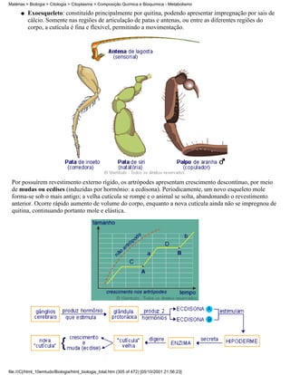 Matérias > Biologia > Citologia > Citoplasma > Composição Química e Bioquímica - Metabolismo

      q   Exoesqueleto: constituído principalmente por quitina, podendo apresentar impregnação por sais de
          cálcio. Somente nas regiões de articulação de patas e antenas, ou entre as diferentes regiões do
          corpo, a cutícula é fina e flexível, permitindo a movimentação.




 Por possuírem revestimento externo rígido, os artrópodes apresentam crescimento descontínuo, por meio
 de mudas ou ecdises (induzidas por hormônio: a ecdisona). Periodicamente, um novo esqueleto mole
 forma-se sob o mais antigo; a velha cutícula se rompe e o animal se solta, abandonando o revestimento
 anterior. Ocorre rápido aumento de volume do corpo, enquanto a nova cutícula ainda não se impregnou de
 quitina, continuando portanto mole e elástica.




file:///C|/html_10emtudo/Biologia/html_biologia_total.htm (305 of 472) [05/10/2001 21:56:23]
 
