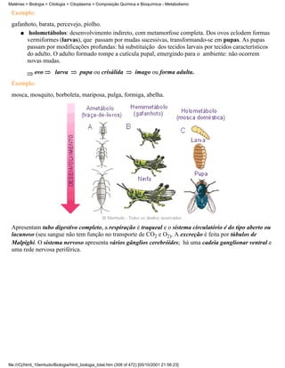 Matérias > Biologia > Citologia > Citoplasma > Composição Química e Bioquímica - Metabolismo

 Exemplo:
 gafanhoto, barata, percevejo, piolho.
    q holometábolos: desenvolvimento indireto, com metamorfose completa. Dos ovos eclodem formas
       vermiformes (larvas), que passam por mudas sucessivas, transformando-se em pupas. As pupas
       passam por modificações profundas: há substituição dos tecidos larvais por tecidos característicos
       do adulto. O adulto formado rompe a cutícula pupal, emergindo para o ambiente: não ocorrem
       novas mudas.
              ovo        larva        pupa ou crisálida             imago ou forma adulta.
 Exemplo:
 mosca, mosquito, borboleta, mariposa, pulga, formiga, abelha.




 Apresentam tubo digestivo completo, a respiração é traqueal e o sistema circulatório é do tipo aberto ou
 lacunoso (seu sangue não tem função no transporte de CO2 e O2). A excreção é feita por túbulos de
 Malpighi. O sistema nervoso apresenta vários gânglios cerebróides; há uma cadeia ganglionar ventral e
 uma rede nervosa periférica.




file:///C|/html_10emtudo/Biologia/html_biologia_total.htm (308 of 472) [05/10/2001 21:56:23]
 
