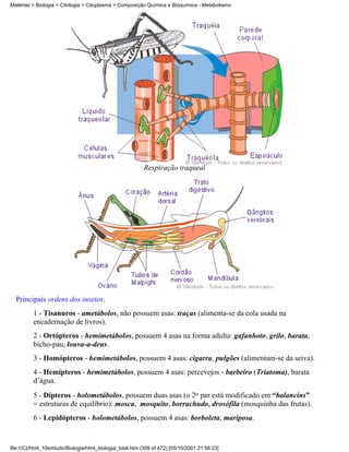 Matérias > Biologia > Citologia > Citoplasma > Composição Química e Bioquímica - Metabolismo




                                                          Respiração traqueal




  Principais ordens dos insetos:
          1 - Tisanuros - ametábolos, não possuem asas: traças (alimenta-se da cola usada na
          encadernação de livros).
          2 - Ortópteros - hemimetábolos, possuem 4 asas na forma adulta: gafanhoto, grilo, barata,
          bicho-pau, louva-a-deus.
          3 - Homópteros - hemimetábolos, possuem 4 asas: cigarra, pulgões (alimentam-se da seiva).
          4 - Hemípteros - hemimetábolos, possuem 4 asas: percevejos - barbeiro (Triatoma), barata
          d’água.
          5 - Dípteros - holometábolos, possuem duas asas (o 2o par está modificado em “balancins”
          = estruturas de equilíbrio): mosca, mosquito, borrachudo, drosófila (mosquinha das frutas).
          6 - Lepidópteros - holometábolos, possuem 4 asas: borboleta, mariposa.


file:///C|/html_10emtudo/Biologia/html_biologia_total.htm (309 of 472) [05/10/2001 21:56:23]
 