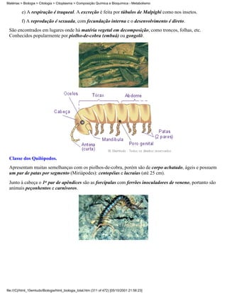Matérias > Biologia > Citologia > Citoplasma > Composição Química e Bioquímica - Metabolismo

          e) A respiração é traqueal. A excreção é feita por túbulos de Malpighi como nos insetos.
          f) A reprodução é sexuada, com fecundação interna e o desenvolvimento é direto.
 São encontrados em lugares onde há matéria vegetal em decomposição, como troncos, folhas, etc.
 Conhecidos popularmente por piolho-de-cobra (embuá) ou gongolô.




 Classe dos Quilópodos.
 Apresentam muitas semelhanças com os piolhos-de-cobra, porém são de corpo achatado, ágeis e possuem
 um par de patas por segmento (Miriápodes): centopéias e lacraias (até 25 cm).
 Junto à cabeça o 1o par de apêndices são as forcípulas com ferrões inoculadores de veneno, portanto são
 animais peçonhentos e carnívoros.




file:///C|/html_10emtudo/Biologia/html_biologia_total.htm (311 of 472) [05/10/2001 21:56:23]
 