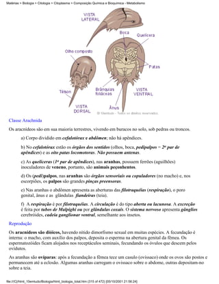 Matérias > Biologia > Citologia > Citoplasma > Composição Química e Bioquímica - Metabolismo




 Classe Arachnida
 Os aracnídeos são em sua maioria terrestres, vivendo em buracos no solo, sob pedras ou troncos.
          a) Corpo dividido em cefalotórax e abdômen; não há apêndices.
          b) No cefalotórax estão os órgãos dos sentidos (olhos, boca, pedipalpos = 2o par de
          apêndices) e as oito patas locomotoras. Não possuem antenas.
          c) As quelíceras (1o par de apêndices), nas aranhas, possuem ferrões (aguilhões)
          inoculadores de veneno, portanto, são animais peçonhentos.
          d) Os (pedi)palpos, nas aranhas são órgãos sensoriais ou copuladores (no macho) e, nos
          escorpiões, os palpos são grandes pinças preensoras.
          e) Nas aranhas o abdômen apresenta as aberturas das filotraquéias (respiração), o poro
          genital, ânus e as glândulas fiandeiras (teia).
          f) A respiração é por filotraquéias. A circulação é do tipo aberta ou lacunosa. A excreção
          é feita por tubos de Malpighi ou por glândulas coxais. O sistema nervoso apresenta gânglios
          cerebróides, cadeia ganglionar ventral, semelhante aos insetos.
 Reprodução
 Os aracnídeos são dióicos, havendo nítido dimorfismo sexual em muitas espécies. A fecundação é
 interna: o macho, com auxílio dos palpos, deposita o esperma na abertura genital da fêmea. Os
 espermatozóides ficam alojados nos receptáculos seminais, fecundando os óvulos que descem pelos
 ovídutos.
 As aranhas são ovíparas: após a fecundação a fêmea tece um casulo (ovissaco) onde os ovos são postos e
 permanecem até a eclosão. Algumas aranhas carregam o ovissaco sobre o abdome, outras depositam-no
 sobre a teia.

file:///C|/html_10emtudo/Biologia/html_biologia_total.htm (315 of 472) [05/10/2001 21:56:24]
 