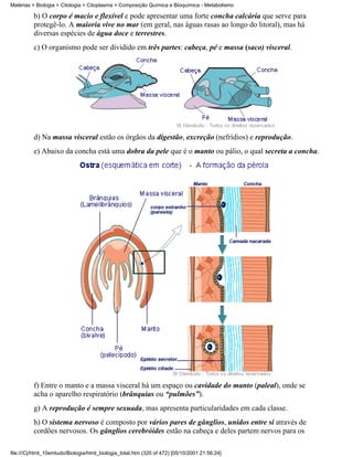 Matérias > Biologia > Citologia > Citoplasma > Composição Química e Bioquímica - Metabolismo

          b) O corpo é macio e flexível e pode apresentar uma forte concha calcária que serve para
          protegê-lo. A maioria vive no mar (em geral, nas águas rasas ao longo do litoral), mas há
          diversas espécies de água doce e terrestres.
          c) O organismo pode ser dividido em três partes: cabeça, pé e massa (saco) visceral.




          d) Na massa visceral estão os órgãos da digestão, excreção (nefrídios) e reprodução.
          e) Abaixo da concha está uma dobra da pele que é o manto ou pálio, o qual secreta a concha.




          f) Entre o manto e a massa visceral há um espaço ou cavidade do manto (paleal), onde se
          acha o aparelho respiratório (brânquias ou “pulmões”).
          g) A reprodução é sempre sexuada, mas apresenta particularidades em cada classe.
          h) O sistema nervoso é composto por vários pares de gânglios, unidos entre si através de
          cordões nervosos. Os gânglios cerebróides estão na cabeça e deles partem nervos para os

file:///C|/html_10emtudo/Biologia/html_biologia_total.htm (320 of 472) [05/10/2001 21:56:24]
 