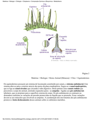 Matérias > Biologia > Citologia > Citoplasma > Composição Química e Bioquímica - Metabolismo




                                                                                                         Página 2

                                               Matérias > Biologia > Reino Animal (Metazoa) > Filos > Equinodermos


 Os equinodermos possuem um sistema de locomoção constituído por canais, o sistema ambulacral. Este
 sistema abre-se para o exterior através dos poros da placa madrepórica. Segue-se o canal madrepórico,
 que se liga ao canal circular que circunda o tubo digestivo. Deste partem cinco canais radiais que
 percorrem o corpo do animal, emitindo expansões pares - as ampolas - ligadas aos pés ambulacrais
 tubulares, que se projetam para a superfície externa do corpo. Os pés ambulacrais se contraem ou
 distendem conforme as variações de pressão promovidas no líquido que os preenche. Essas variações
 devem-se aos músculos que envolvem as ampolas. A coordenação dos movimentos dos pés ambulacrais
 promove o lento deslocamento desses animais sobre os substratos marinhos.




file:///C|/html_10emtudo/Biologia/html_biologia_total.htm (327 of 472) [05/10/2001 21:56:24]
 
