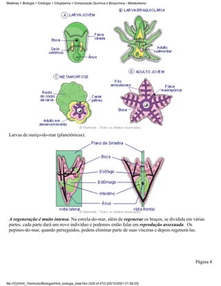 Matérias > Biologia > Citologia > Citoplasma > Composição Química e Bioquímica - Metabolismo




 Larvas de ouriço-do-mar (planctônicas).




 A regeneração é muito intensa. Na estrela-do-mar, além de regenerar os braços, se dividida em várias
 partes, cada parte dará um novo indivíduo e podemos então falar em reprodução assexuada. Os
 pepinos-do-mar, quando perseguidos, podem eliminar parte de suas vísceras e depois regenerá-las.




                                                                                                Página 4



file:///C|/html_10emtudo/Biologia/html_biologia_total.htm (329 of 472) [05/10/2001 21:56:25]
 