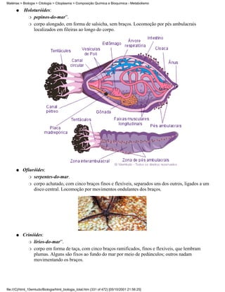 Matérias > Biologia > Citologia > Citoplasma > Composição Química e Bioquímica - Metabolismo

      q    Holoturóides:
            r pepinos-do-mar”.

            r corpo alongado, em forma de salsicha, sem braços. Locomoção por pés ambulacrais
               localizados em fileiras ao longo do corpo.




      q    Ofiuróides:
             r serpentes-do-mar.

             r corpo achatado, com cinco braços finos e flexíveis, separados uns dos outros, ligados a um
                disco central. Locomoção por movimentos ondulantes dos braços.




      q    Crinóides:
             r lírios-do-mar”.

             r corpo em forma de taça, com cinco braços ramificados, finos e flexíveis, que lembram
                plumas. Alguns são fixos ao fundo do mar por meio de pedúnculos; outros nadam
                movimentando os braços.




file:///C|/html_10emtudo/Biologia/html_biologia_total.htm (331 of 472) [05/10/2001 21:56:25]
 