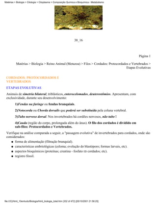 Matérias > Biologia > Citologia > Citoplasma > Composição Química e Bioquímica - Metabolismo




                                                                    38_16



                                                                                                  Página 1

           Matérias > Biologia > Reino Animal (Metazoa) > Filos > Cordados: Protocordados e Vertebrados >
                                                                                        Etapas Evolutivas

 CORDADOS: PROTOCORDADOS E
 VERTEBRADOS
 ETAPAS EVOLUTIVAS
 Animais de simetria bilateral, triblásticos, enterocelomados, deuterostômios. Apresentam, com
 exclusividade, durante seu desenvolvimento:
          1)Fendas na faringe ou fendas branquiais.
          2)Notocorda ou Chorda dorsalis que poderá ser substituída pela coluna vertebral.
          3)Tubo nervoso dorsal. Nos invertebrados há cordões nervosos, não tubo !
          4)Cauda (região do corpo, prolongada além do ânus). O filo dos cordados é dividido em
          sub-filos: Protocordados e Vertebrados.
 Verifique na análise comparada a seguir, a "passagem evolutiva" de invertebrados para cordados, onde são
 considerados:
    q forma de alimentação (filtração branquial).

    q características embriológicas (celoma; evolução do blastóporo; formas larvais, etc).

    q aspectos bioquímicos (proteínas; creatina - fosfato  cordados; etc).
    q registro fóssil.




file:///C|/html_10emtudo/Biologia/html_biologia_total.htm (332 of 472) [05/10/2001 21:56:25]
 