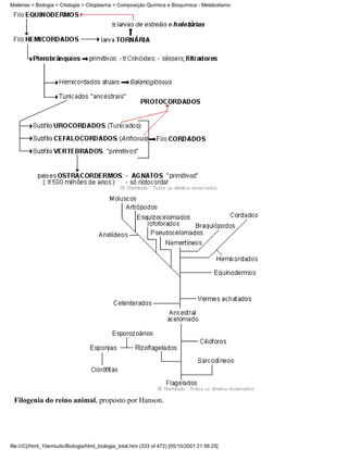 Matérias > Biologia > Citologia > Citoplasma > Composição Química e Bioquímica - Metabolismo




 Filogenia do reino animal, proposto por Hanson.




file:///C|/html_10emtudo/Biologia/html_biologia_total.htm (333 of 472) [05/10/2001 21:56:25]
 