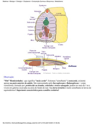 Matérias > Biologia > Citologia > Citoplasma > Composição Química e Bioquímica - Metabolismo




 Observação:
 ''Filo'' Hemicordados - que significa "meia corda". Estrutura "semelhante" à notocorda, existente
 apenas na parte anterior do adulto. São representados pelo Saccoglossum e Balanoglossus = corpo
 vermiforme, formado por: probóscide ou tromba, colarinho e tronco alongado; podem ter mais de 1 m e
 vivem em galerias escavadas na areia do fundo do mar. Sua larva tornária é muito semelhante às larvas de
 equinodermos! Importante característica para a análise evolutiva!




file:///C|/html_10emtudo/Biologia/html_biologia_total.htm (337 of 472) [05/10/2001 21:56:25]
 