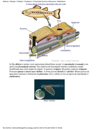 Matérias > Biologia > Citologia > Citoplasma > Composição Química e Bioquímica - Metabolismo




          h) São dióicos e muitas vezes apresentam dimorfismo sexual. A reprodução é sexuada e em
          geral com fecundação externa. Nas espécies de fecundação interna a nadadeira caudal
          modificada atua como órgão de cópula. A maioria é ovípara. Há porém, espécies vivíparas.
          Possuem apenas o anexo saco vitelino. A forma jovem (larval) é o alevino. Muitos peixes de
          água doce realizam o fenômeno da piracema, isto é, sobem os rios na época da reprodução (=
          anádromos).




                                                               Saco vitelino




file:///C|/html_10emtudo/Biologia/html_biologia_total.htm (355 of 472) [05/10/2001 21:56:26]
 