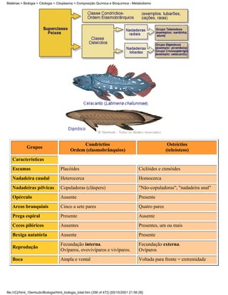 Matérias > Biologia > Citologia > Citoplasma > Composição Química e Bioquímica - Metabolismo




                                               Condríctios                                               Osteíctios
             Grupos
                                          Ordem (elasmobrânquios)                                       (teleósteos)
   Características
   Escamas                          Placóides                                            Ciclóides e ctenóides
   Nadadeira caudal                 Heterocerca                                          Homocerca
   Nadadeiras pélvicas              Copuladoras (cláspers)                               "Não-copuladoras"; "nadadeira anal"
   Opérculo                         Ausente                                              Presente
   Arcos branquiais                 Cinco a sete pares                                   Quatro pares
   Prega espiral                    Presente                                             Ausente
   Cecos pilóricos                  Ausentes                                             Presentes, um ou mais
   Bexiga natatória                 Ausente                                              Presente
                                    Fecundação interna.                                  Fecundação externa.
   Reprodução
                                    Ovíparos, ovovivíparos e vivíparos.                  Ovíparos
   Boca                             Ampla e vental                                       Voltada para frente = extremidade




file:///C|/html_10emtudo/Biologia/html_biologia_total.htm (356 of 472) [05/10/2001 21:56:26]
 