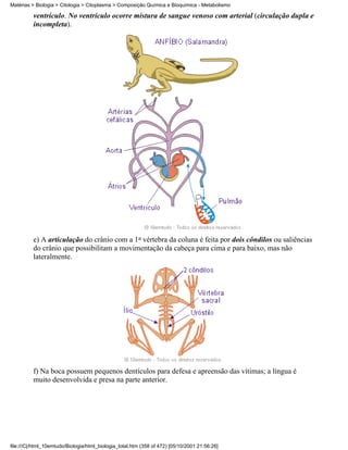 Matérias > Biologia > Citologia > Citoplasma > Composição Química e Bioquímica - Metabolismo

          ventrículo. No ventrículo ocorre mistura de sangue venoso com arterial (circulação dupla e
          incompleta).




          e) A articulação do crânio com a 1a vértebra da coluna é feita por dois côndilos ou saliências
          do crânio que possibilitam a movimentação da cabeça para cima e para baixo, mas não
          lateralmente.




          f) Na boca possuem pequenos dentículos para defesa e apreensão das vítimas; a língua é
          muito desenvolvida e presa na parte anterior.




file:///C|/html_10emtudo/Biologia/html_biologia_total.htm (358 of 472) [05/10/2001 21:56:26]
 