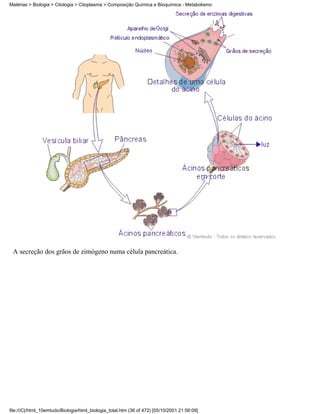 Matérias > Biologia > Citologia > Citoplasma > Composição Química e Bioquímica - Metabolismo




 A secreção dos grãos de zimógeno numa célula pancreática.




file:///C|/html_10emtudo/Biologia/html_biologia_total.htm (36 of 472) [05/10/2001 21:56:09]
 