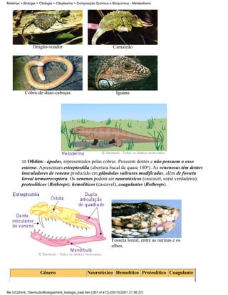 Matérias > Biologia > Citologia > Citoplasma > Composição Química e Bioquímica - Metabolismo




                 Dragão-voador                                         Camaleão




            Cobra-de-duas-cabeças                                        Iguana




             Ofídios:- ápodos, representados pelas cobras. Possuem dentes e não possuem o osso
          esterno. Apresentam estreptostilia (abertura bucal de quase 180o). As venenosas têm dentes
          inoculadores de veneno produzido em glândulas salivares modificadas, além de fosseta
          loreal termorreceptora. Os venenos podem ser neurotóxicos (cascavel, coral verdadeira),
          proteolíticos (Bothrops), hemolíticos (cascavel), coagulantes (Bothrops).




                                                                      Fosseta loreal, entre as narinas e os
                                                                      olhos.




                      Gênero                          Neurotóxico Hemolítico Proteolítico Coagulante


file:///C|/html_10emtudo/Biologia/html_biologia_total.htm (367 of 472) [05/10/2001 21:56:27]
 