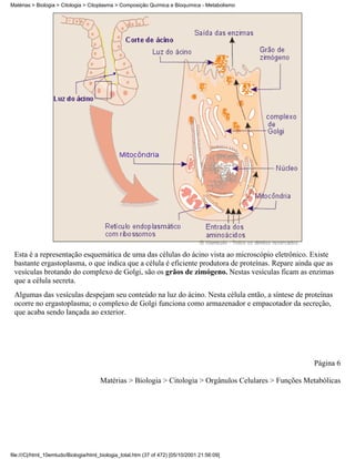Matérias > Biologia > Citologia > Citoplasma > Composição Química e Bioquímica - Metabolismo




 Esta é a representação esquemática de uma das células do ácino vista ao microscópio eletrônico. Existe
 bastante ergastoplasma, o que indica que a célula é eficiente produtora de proteínas. Repare ainda que as
 vesículas brotando do complexo de Golgi, são os grãos de zimógeno. Nestas vesículas ficam as enzimas
 que a célula secreta.
 Algumas das vesículas despejam seu conteúdo na luz do ácino. Nesta célula então, a síntese de proteínas
 ocorre no ergastoplasma; o complexo de Golgi funciona como armazenador e empacotador da secreção,
 que acaba sendo lançada ao exterior.




                                                                                                         Página 6

                                       Matérias > Biologia > Citologia > Orgânulos Celulares > Funções Metabólicas




file:///C|/html_10emtudo/Biologia/html_biologia_total.htm (37 of 472) [05/10/2001 21:56:09]
 
