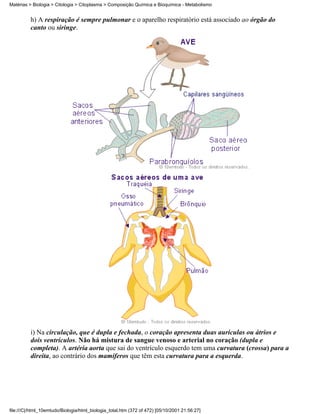 Matérias > Biologia > Citologia > Citoplasma > Composição Química e Bioquímica - Metabolismo


          h) A respiração é sempre pulmonar e o aparelho respiratório está associado ao órgão do
          canto ou siringe.




          i) Na circulação, que é dupla e fechada, o coração apresenta duas aurículas ou átrios e
          dois ventrículos. Não há mistura de sangue venoso e arterial no coração (dupla e
          completa). A artéria aorta que sai do ventrículo esquerdo tem uma curvatura (crossa) para a
          direita, ao contrário dos mamíferos que têm esta curvatura para a esquerda.




file:///C|/html_10emtudo/Biologia/html_biologia_total.htm (372 of 472) [05/10/2001 21:56:27]
 