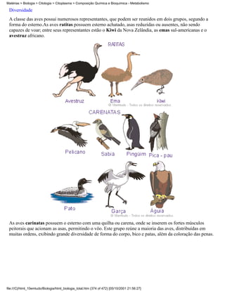 Matérias > Biologia > Citologia > Citoplasma > Composição Química e Bioquímica - Metabolismo

 Diversidade
 A classe das aves possui numerosos representantes, que podem ser reunidos em dois grupos, segundo a
 forma do esterno.As aves ratitas possuem esterno achatado, asas reduzidas ou ausentes, não sendo
 capazes de voar; entre seus representantes estão o Kiwi da Nova Zelândia, as emas sul-americanas e o
 avestruz africano.




 As aves carinatas possuem o esterno com uma quilha ou carena, onde se inserem os fortes músculos
 peitorais que acionam as asas, permitindo o vôo. Este grupo reúne a maioria das aves, distribuídas em
 muitas ordens, exibindo grande diversidade de forma do corpo, bico e patas, além da coloração das penas.




file:///C|/html_10emtudo/Biologia/html_biologia_total.htm (374 of 472) [05/10/2001 21:56:27]
 