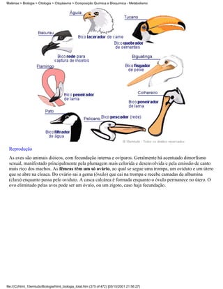 Matérias > Biologia > Citologia > Citoplasma > Composição Química e Bioquímica - Metabolismo




 Reprodução
 As aves são animais dióicos, com fecundação interna e ovíparos. Geralmente há acentuado dimorfismo
 sexual, manifestado principalmente pela plumagem mais colorida e desenvolvida e pela emissão de canto
 mais rico dos machos. As fêmeas têm um só ovário, ao qual se segue uma trompa, um oviduto e um útero
 que se abre na cloaca. Do ovário sai a gema (óvulo) que cai na trompa e recebe camadas de albumina
 (clara) enquanto passa pelo oviduto. A casca calcárea é formada enquanto o óvulo permanece no útero. O
 ovo eliminado pelas aves pode ser um óvulo, ou um zigoto, caso haja fecundação.




file:///C|/html_10emtudo/Biologia/html_biologia_total.htm (375 of 472) [05/10/2001 21:56:27]
 