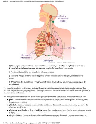 Matérias > Biologia > Citologia > Citoplasma > Composição Química e Bioquímica - Metabolismo




          h) O coração tem dois átrios e dois ventrículos (circulação dupla e completa). A curvatura
          (crossa) da artéria aorta é para a esquerda. A circulação é dupla e completa.
          i) As hemácias adultas em circulação são anucleadas.
          j) Possuem bexiga urinária e a excreção da uréia é feita dissolvida na água, constituindo a
          urina.
          l) O encéfalo dos mamíferos é relativamente mais desenvolvido do que os outros grupos de
          vertebrados.
 Os mamíferos são os vertebrados mais evoluídos, com inúmeras características adaptativas que lhes
 permite ampla distribuição geográfica. Seus representantes são numerosos e diversificados, ocupando os
 mais diversos ambientes.
 As principais características dos mamíferos, que os diferenciam de todos os outros vertebrados, são:
    q pêlos: recobrindo total ou parcialmente a superfície do corpo, contribuem para a manutenção da
       temperatura corporal;
    q glândulas mamárias: presentes em todas as fêmeas de mamíferos, secretam leite, que serve de
       alimento aos filhotes;
    q cérebro e sentidos bem desenvolvidos, o que lhes confere grande agilidade para captura de presas
       e fuga;
    q viviparidade: o desenvolvimento do embrião ocorre sempre dentro do organismo materno, no




file:///C|/html_10emtudo/Biologia/html_biologia_total.htm (378 of 472) [05/10/2001 21:56:27]
 