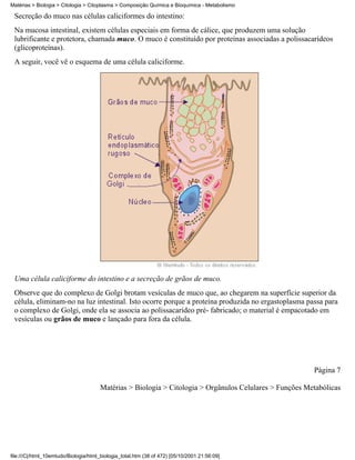 Matérias > Biologia > Citologia > Citoplasma > Composição Química e Bioquímica - Metabolismo

 Secreção do muco nas células caliciformes do intestino:
 Na mucosa intestinal, existem células especiais em forma de cálice, que produzem uma solução
 lubrificante e protetora, chamada muco. O muco é constituído por proteínas associadas a polissacarídeos
 (glicoproteínas).
 A seguir, você vê o esquema de uma célula caliciforme.




 Uma célula caliciforme do intestino e a secreção de grãos de muco.
 Observe que do complexo de Golgi brotam vesículas de muco que, ao chegarem na superfície superior da
 célula, eliminam-no na luz intestinal. Isto ocorre porque a proteína produzida no ergastoplasma passa para
 o complexo de Golgi, onde ela se associa ao polissacarídeo pré- fabricado; o material é empacotado em
 vesículas ou grãos de muco e lançado para fora da célula.




                                                                                                         Página 7

                                       Matérias > Biologia > Citologia > Orgânulos Celulares > Funções Metabólicas




file:///C|/html_10emtudo/Biologia/html_biologia_total.htm (38 of 472) [05/10/2001 21:56:09]
 
