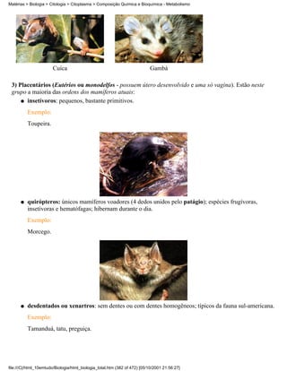 Matérias > Biologia > Citologia > Citoplasma > Composição Química e Bioquímica - Metabolismo




                       Cuíca                                               Gambá

 3) Placentários (Eutérios ou monodelfos - possuem útero desenvolvido e uma só vagina). Estão neste
 grupo a maioria das ordens dos mamíferos atuais:
     q insetívoros: pequenos, bastante primitivos.

          Exemplo:
          Toupeira.




      q   quirópteros: únicos mamíferos voadores (4 dedos unidos pelo patágio); espécies frugívoras,
          insetívoras e hematófagas; hibernam durante o dia.
          Exemplo:
          Morcego.




      q   desdentados ou xenartros: sem dentes ou com dentes homogêneos; típicos da fauna sul-americana.
          Exemplo:
          Tamanduá, tatu, preguiça.




file:///C|/html_10emtudo/Biologia/html_biologia_total.htm (382 of 472) [05/10/2001 21:56:27]
 