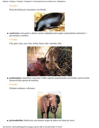 Matérias > Biologia > Citologia > Citoplasma > Composição Química e Bioquímica - Metabolismo


          Exemplo:
          Peixe-boi (boto),na Amazônia e na Flórida.




      q   carnívoros: com garras e dentes caninos adaptados para rasgar a presa;dentes carniceiros =
          pré-molares e molares.
          Exemplo:
          Cão, gato, onça, urso, foca, lontra, hiena, leão- marinho, leão.




      q   proboscídeos: mamíferos com nariz e lábio superior transformados em tromba; incisivos bem
          desenvolvidos (presas de marfim).
          Exemplo:
          Elefantes indianos e africanos.




      q   perissodáctilos: herbívoros com número ímpar de dedos em forma de casco.

file:///C|/html_10emtudo/Biologia/html_biologia_total.htm (384 of 472) [05/10/2001 21:56:27]
 