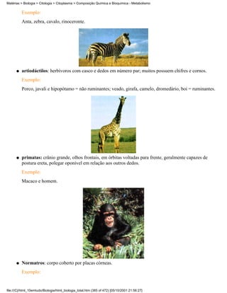 Matérias > Biologia > Citologia > Citoplasma > Composição Química e Bioquímica - Metabolismo

          Exemplo:
          Anta, zebra, cavalo, rinoceronte.




      q   artiodáctilos: herbívoros com casco e dedos em número par; muitos possuem chifres e cornos.
          Exemplo:
          Porco, javali e hipopótamo = não ruminantes; veado, girafa, camelo, dromedário, boi = ruminantes.




      q   primatas: crânio grande, olhos frontais, em órbitas voltadas para frente, geralmente capazes de
          postura ereta, polegar oponível em relação aos outros dedos.
          Exemplo:
          Macaco e homem.




      q   Normatros: corpo coberto por placas córneas.
          Exemplo:


file:///C|/html_10emtudo/Biologia/html_biologia_total.htm (385 of 472) [05/10/2001 21:56:27]
 