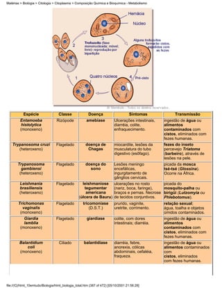 Matérias > Biologia > Citologia > Citoplasma > Composição Química e Bioquímica - Metabolismo




           Espécie                  Classe              Doença                      Sintomas              Transmissão
         Entamoeba                Rizópode             amebíase           Ulcerações intestinais,    ingestão de água ou
          histolytica                                                     diarréia, colite,          alimentos
         (monoxeno)                                                       enfraquecimento.           contaminados com
                                                                                                     cistos, eliminados com
                                                                                                     fezes humanas.
    Trypanosoma cruzi             Flagelado           doença de           miocardite, lesões da      fezes do inseto
       (heteroxeno)                                    Chagas             musculatura do tubo        percevejo Triatoma
                                                                          digestivo (esôfago).       (barbeiro), através de
                                                                                                     lesões na pele.
       Trypanosoma                Flagelado           doença do           Lesões meningo             picada da mosca
         gambiensi                                      sono              encefálicas,               tsé-tsé (Glossina).
        (heteroxeno)                                                      ingurgitamento de          Ocorre na África.
                                                                          gânglios cervicais.
         Leishmania               Flagelado         leishmaniose          ulcerações no rosto        picada do
         brasiliensis                                tegumentar           (nariz, boca, faringe),    mosquito-palha ou
         (heteroxeno)                                 americana           braços e pernas. Necrose   birigüi (Lutzomyia ou
                                                  (úlcera de Bauru)       de tecidos conjuntivos.    Phlebotomus).
        Trichomonas               Flagelado          tricomoníase         prurido, vaginite,         relação sexual;
          vaginalis                                      (D.S.T.)         uretrite, corrimento.      água, toalha e objetos
         (monoxeno)                                                                                  úmidos contaminados.
           Giardia                Flagelado            giardíase          colite, com dores          ingestão de água ou
           lamblia                                                        intestinais; diarréia.     alimentos
         (monoxeno)                                                                                  contaminados com
                                                                                                     cistos, eliminados com
                                                                                                     fezes humanas.
        Balantidium                 Ciliado          balantidíase         diarréia, febre,           ingestão de água ou
            coli                                                          anorexia, cólicas          alimentos contaminados
        (monoxeno)                                                        abdominais, cefaléia,      com
                                                                          fraqueza.                  cistos, eliminados
                                                                                                     com fezes humanas.




file:///C|/html_10emtudo/Biologia/html_biologia_total.htm (387 of 472) [05/10/2001 21:56:28]
 