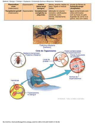 Matérias > Biologia > Citologia > Citoplasma > Composição Química e Bioquímica - Metabolismo

        Plasmodium              Esporozoário             malária          febres, anemia, lesões no picada da fêmea do
           vivax                                      (febre terçã        baço, fígado e medula     mosquito-prego
        (heteroxeno)                                    benigna)          óssea.                    (Anopheles).
    Toxoplasma gondii Esporozoário                  toxoplasmose          alteração no volume       água contaminada com
       (heteroxeno)                                 (congênita ou         craniano; calcificações   cistos eliminados
                                                      adquirida)          cerebrais; corio-         com as fezes do gato.
                                                                          retinite; retardamento    Ingestão de carne crua
                                                                          mental.                   (porco, boi) com cistos.




file:///C|/html_10emtudo/Biologia/html_biologia_total.htm (388 of 472) [05/10/2001 21:56:28]
 