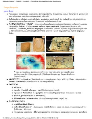 Matérias > Biologia > Citologia > Citoplasma > Composição Química e Bioquímica - Metabolismo



 Fungos Patogenia
 Importância
    q Nas cadeias alimentares, atuam como decompositores, juntamente com as bactérias      promovem
      a reciclagem da matéria orgânica em sais minerais!
    q Substâncias orgânicas como substrato, umidade e ausência de luz ou luz fraca são as condições
      requeridas para um bom desenvolvimento da maioria das espécies.
    q NA INDÚSTRIA         “CURA” = processo pelo qual microrganismos (bactérias ou fungos) agem na
      composição do leite. Alteram aroma, sabor e riqueza nutritiva (produzem AA essenciais,
      vitaminas). Atuam na produção de queijos: Camembert (leite de ovelha); Roquefort e Gorgonzola.
      O Saccharomyces, da fermentação alcoólica, também é usado no preparo de massas de pães e
      bolos.




                A capa aveludada do queijo camembert (A) e os veios azul-esverdeados dos
                queijos roquefort (B) e gorgonzola (D) são produzidos por fungos do gênero
                Penicillium (C).
      q   ALIMENTOS Agaricus (Basidiomiceto – champignon – chega a 18 kg); Tuber (Ascomiceto –
          trufas); Morchella (Ascomiceto - ~10 cm comprimento).
      q   DOENÇAS
             r micoses;

             r sapinho (Candida albicans – saprófita da mucosa bucal);

             r esporos de Penicillium e Aspergillus provocam alergias (rinites, bronquites e asma);

             r micoses graves (tumores = micetomas);

             r blastomicoses e actinomicoses (ulcerações em partes do corpo), etc.

      q   FARMACOLOGIA
             r penicilina (Penicillium);

             r psilocibina (Psilocybe – alucinógeno psicodisléptico: usado em rituais religiosos de nativos
                de Oaxaca - México);
             r ergotamina (ergotismo - Claviceps purpurea - intoxicação entre camponeses que trabalham



file:///C|/html_10emtudo/Biologia/html_biologia_total.htm (392 of 472) [05/10/2001 21:56:28]
 