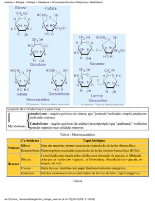 Matérias > Biologia > Citologia > Citoplasma > Composição Química e Bioquímica - Metabolismo




  (conjunto das transformações químicas)
                    Anabolismo - reações químicas de síntese, que "juntando"moléculas simples produzem
                    moléculas maiores
                         Catabolismo - reações químicas de análise (decomposição) que "quebrando" moléculas
   Metabolismo           grandes separam suas unidades menores

                                                       Tabela - Monossacarídeos
                Carboidrato                                                   Papel biológico
                Ribose              Uma das matérias-primas necessárias à produção de ácido ribonucléico.
  Pentoses
                Desoxirribose Matéria-prima necessária à produção de ácido desoxirribonucléico (DNA).
                                    é a molécula mais usada pelas células para obtenção de energia. é fabricada
                Glicose             pelas partes verdes dos vegetais, na fotossíntese. Abundante em vegetais, no
  Hexoses                           sangue, no mel.
                Frutose             Outra hexose, também com papel fundamentalmente energético.
                Galactose           Um dos monossacarídeos constituinte da lactose do leite. Papel energético.

                                                                    Tabela




file:///C|/html_10emtudo/Biologia/html_biologia_total.htm (4 of 472) [05/10/2001 21:56:08]
 