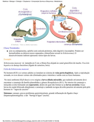 Matérias > Biologia > Citologia > Citoplasma > Composição Química e Bioquímica - Metabolismo




 Classe Tremátodos:
    q ecto ou endoparasitas, epitélio com cutícula protetora, tubo digestivo incompleto. Podem ser
       hermafroditas ou dióicos (sexos separados e dimorfismo sexual Schistosoma). O
       desenvolvimento indireto apresenta vários tipos de larvas.
 Exemplo
 Schistosoma mansoni    tamanho 1,5 cm; a fêmea fica alojada no canal ginecóforo do macho. Fasciola
 hepatica doença fasciolose (fígado de carneiros, bois).
 Ciclo do Schistosoma mansoni
 No homem (H.D.) os vermes adultos se instalam no sistema de veias porta-hepáticas. Após a reprodução
 sexuada, os ovos desses vermes são eliminados para o intestino e sairão com as fezes humanas.

  No meio ambiente (H2O doce) o ovo origina a larva ciliada miracídio, que nadando ativamente deve
 encontrar o caramujo da família planorbídeo e gênero Biomphalaria (H.I.). No interior do caramujo o
 miracídio evolui formando um esporocisto, dentro do qual irão formar-se as larvas cercárias. Essas
 larvas de cauda bifurcada abandonam o caramujo e nadando na água deverão penetrar ativamente pela pele
 humana “ lagoa de coceira!”
 Sintomas: cansaço, graves problemas gastrointestinais, grande inflamação do fígado e baço
 (hepatoesplenomegalia) e daí “barriga d’água” (ascite).




file:///C|/html_10emtudo/Biologia/html_biologia_total.htm (404 of 472) [05/10/2001 21:56:29]
 