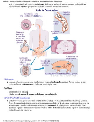 Matérias > Biologia > Citologia > Citoplasma > Composição Química e Bioquímica - Metabolismo

          se fixa nos músculos formando o cisticerco. O homem ao ingerir a carne crua ou mal cozida vai
          desenvolver a teníase, que provoca vômitos, diarréias e dores abdominais.




 Cisticercose
     q quando o homem ingere água ou alimentos contaminados pelos ovos da Taenia solium e que
        poderão formar cisticercos no cérebro ou outro órgão vital.
 Profilaxia
          a) saneamento básico;
          b) não ingerir carne de porco ou boi crua ou mal cozida.
 EQUINOCOCOSE (hidatidose)
   q O Echinococcus granulosus tem no cão (raposa, lobo), seu H.D. (hospedeiro definitivo). Com as
     fezes desses animais doentes, serão eliminadas as proglotes grávidas, que contaminarão a água ou
     alimentos do carneiro e circunstancialmente do homem (H.I. = hospedeiro intermediário). Nos
     pulmões, fígado e pâncreas irão desenvolver-se cistos hidáticos com volume superior a uma laranja,
     podendo acarretar na morte.




file:///C|/html_10emtudo/Biologia/html_biologia_total.htm (407 of 472) [05/10/2001 21:56:29]
 