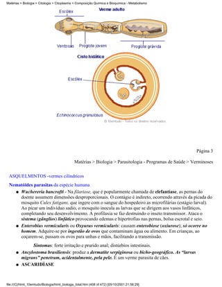 Matérias > Biologia > Citologia > Citoplasma > Composição Química e Bioquímica - Metabolismo




                                                                                                           Página 3

                                               Matérias > Biologia > Parasitologia - Programas de Saúde > Verminoses


 ASQUELMINTOS -vermes cilíndricos
 Nematóides parasitas da espécie humana
   q Wuchereria bancrofti - Na filariose, que é popularmente chamada de elefantíase, as pernas do
     doente assumem dimensões desproporcionais. O contágio é indireto, ocorrendo através da picada do
     mosquito Culex fatigans, que ingere com o sangue do hospedeiro as microfilárias (estágio larval).
     Ao picar um indivíduo sadio, o mosquito inocula as larvas que se dirigem aos vasos linfáticos,
     completando seu desenvolvimento. A profilaxia se faz destruindo o inseto transmissor. Ataca o
     sistema (gânglios) linfático provocando edemas e hipertrofias nas pernas, bolsa escrotal e seio.
   q Enterobius vermicularis ou Oxyurus vermicularis: causam enterobiose (oxiurose); só ocorre no
     homem. Adquire-se por ingestão de ovos que contaminam água ou alimento. Em crianças, ao
     coçarem-se, passam os ovos para unhas e mãos, facilitando a transmissão.
               Sintomas: forte irritação e prurido anal; distúrbios intestinais.
      q   Ancylostoma brasiliensis: produz a dermatite serpiginosa ou bicho-geográfico. As “larvas
          migrans” penetram, acidentalmente, pela pele. É um verme parasita de cães.
      q   ASCARIDÍASE



file:///C|/html_10emtudo/Biologia/html_biologia_total.htm (408 of 472) [05/10/2001 21:56:29]
 