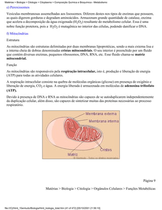 Matérias > Biologia > Citologia > Citoplasma > Composição Química e Bioquímica - Metabolismo

 e) Peroxissomos
 Vesículas membranosas assemelhadas aos lisossomos. Diferem destes nos tipos de enzimas que possuem,
 as quais digerem gorduras e degradam aminoácidos. Armazenam grande quantidade de catalase, enzima
 que acelera a decomposição da água oxigenada (H2O2) resultante do metabolismo celular. Essa é uma
 nobre função protetora, pois a H2O2 é mutagênica no interior das células, podendo danificar o DNA.

 f) Mitocôndrias
 Estrutura
 As mitocôndrias são estruturas delimitadas por duas membranas lipoprotéicas, sendo a mais externa lisa e
 a interna cheia de dobras denominadas cristas mitocondriais. O seu interior é preenchido por um fluido
 que contém diversas enzimas, pequenos ribossomos, DNA, RNA, etc. Esse fluido chama-se matriz
 mitocondrial.
 Função
 As mitocôndrias são responsáveis pela respiração intracelular, isto é, produção e liberação de energia
 (ATP) para todas as atividades celulares.
 A respiração intracelular consiste na quebra de moléculas orgânicas (glicose) em presença de oxigênio e
 liberação de energia, CO2 e água. A energia liberada é armazenada em moléculas de adenosina trifosfato
 (ATP).
 Devido à presença de DNA e RNA as mitocôndrias são capazes de se autoduplicarem independentemente
 da duplicação celular, além disso, são capazes de sintetizar muitas das proteínas necessárias ao processo
 respiratório.




                                                                                                         Página 9

                                       Matérias > Biologia > Citologia > Orgânulos Celulares > Funções Metabólicas




file:///C|/html_10emtudo/Biologia/html_biologia_total.htm (41 of 472) [05/10/2001 21:56:10]
 