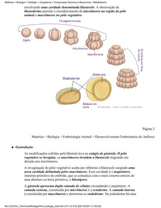 Matérias > Biologia > Citologia > Citoplasma > Composição Química e Bioquímica - Metabolismo

                  envolvendo uma cavidade denominada blastocele. A observação da
                  blastoderme permite o reconhecimento de micrômeros na região do pólo
                  animal e macrômeros no pólo vegetativo.




                                                                                                   Página 2

                         Matérias > Biologia > Embriologia Animal > Desenvolvimento Embrionário do Anfioxo

      q   Gastrulação.
                  As modificações sofridas pela blástula leva ao estágio de gástrula. O pólo
                  vegetativo se invagina, os macrômeros invadem a blastocele migrando em
                  direção aos micrômeros.
                  A invaginação do pólo vegetativo acaba por obliterar a blastocele surgindo uma
                  nova cavidade delimitada pelos macrômeros. Essa cavidade é o arquêntero,
                  intestino primitivo do embrião, que se comunica com o meio externo através de
                  uma abertura ou boca primitiva, o blastóporo.
                  A gástrula apresenta dupla camada de células circundando o arquêntero. A
                  camada externa, constituída por micrômeros é a ectoderme. A camada interna
                  é constituída por macrômeros e denomina-se endoderme. Na endoderme há uma


file:///C|/html_10emtudo/Biologia/html_biologia_total.htm (417 of 472) [05/10/2001 21:56:30]
 