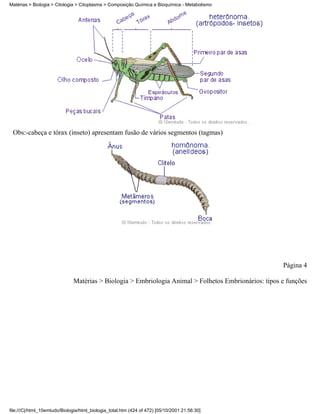 Matérias > Biologia > Citologia > Citoplasma > Composição Química e Bioquímica - Metabolismo




 Obs:-cabeça e tórax (inseto) apresentam fusão de vários segmentos (tagmas)




                                                                                                      Página 4

                              Matérias > Biologia > Embriologia Animal > Folhetos Embrionários: tipos e funções




file:///C|/html_10emtudo/Biologia/html_biologia_total.htm (424 of 472) [05/10/2001 21:56:30]
 