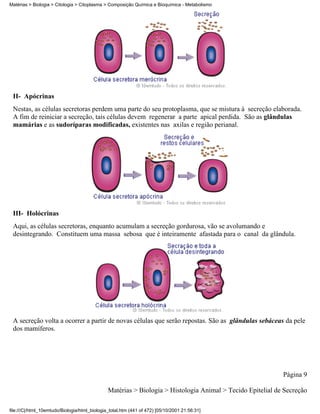 Matérias > Biologia > Citologia > Citoplasma > Composição Química e Bioquímica - Metabolismo




 II- Apócrinas
 Nestas, as células secretoras perdem uma parte do seu protoplasma, que se mistura à secreção elaborada.
 A fim de reiniciar a secreção, tais células devem regenerar a parte apical perdida. São as glândulas
 mamárias e as sudoríparas modificadas, existentes nas axilas e região perianal.




 III- Holócrinas
 Aqui, as células secretoras, enquanto acumulam a secreção gordurosa, vão se avolumando e
 desintegrando. Constituem uma massa sebosa que é inteiramente afastada para o canal da glândula.




 A secreção volta a ocorrer a partir de novas células que serão repostas. São as glândulas sebáceas da pele
 dos mamíferos.




                                                                                                            Página 9

                                               Matérias > Biologia > Histologia Animal > Tecido Epitelial de Secreção

file:///C|/html_10emtudo/Biologia/html_biologia_total.htm (441 of 472) [05/10/2001 21:56:31]
 