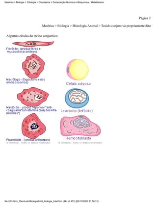 Matérias > Biologia > Citologia > Citoplasma > Composição Química e Bioquímica - Metabolismo




                                                                                                        Página 2

                                    Matérias > Biologia > Histologia Animal > Tecido conjuntivo propriamente dito


 Algumas células do tecido conjuntivo:




file:///C|/html_10emtudo/Biologia/html_biologia_total.htm (444 of 472) [05/10/2001 21:56:31]
 