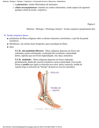 Matérias > Biologia > Citologia > Citoplasma > Composição Química e Bioquímica - Metabolismo

              r   os plasmócitos: células fabricadoras de anticorpos.
              r   células mesenquimatosas: mantêm seu caráter embrionário, sendo capazes de regenerar
                  qualquer célula do tecido conjuntivo.




                                                                                                        Página 4

                                    Matérias > Biologia > Histologia Animal > Tecido conjuntivo propriamente dito


 b) Tecido conjuntivo denso:
    q predomínio de fibras colágenas sobre os demais elementos constituintes, o que lhe dá grande
      resistência.
    q fibroblastos: são células muito freqüentes, para a produção de fibras.

    q tipos:

                  T.C.D. não modelado (fibroso): fibras colágenas dispostas em feixes não
                  ordenados, porém entrelaçados, conferindo-lhe resistência e elasticidade:
                  derme, cápsulas que envolvem órgãos(fígado, rins, baço, testículos).
                  T.C.D. modelado : fibras colágenas dispostas em feixes ordenados
                  paralelamente, dando-lhe enorme resistência e pouca elasticidade. Esse tecido
                  forma os tendões que ligam os músculos aos ossos: pulso, tornozelo, tendão de
                  Aquiles (liga os músculos da “barriga” da perna ao osso do calcanhar).




file:///C|/html_10emtudo/Biologia/html_biologia_total.htm (446 of 472) [05/10/2001 21:56:31]
 