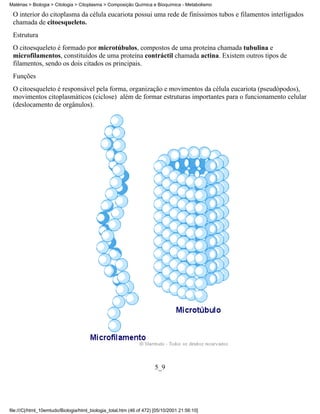 Matérias > Biologia > Citologia > Citoplasma > Composição Química e Bioquímica - Metabolismo

 O interior do citoplasma da célula eucariota possui uma rede de finíssimos tubos e filamentos interligados
 chamada de citoesqueleto.
 Estrutura
 O citoesqueleto é formado por microtúbulos, compostos de uma proteína chamada tubulina e
 microfilamentos, constituídos de uma proteína contráctil chamada actina. Existem outros tipos de
 filamentos, sendo os dois citados os principais.
 Funções
 O citoesqueleto é responsável pela forma, organização e movimentos da célula eucariota (pseudópodos),
 movimentos citoplasmáticos (ciclose) além de formar estruturas importantes para o funcionamento celular
 (deslocamento de orgânulos).




                                                                      5_9




file:///C|/html_10emtudo/Biologia/html_biologia_total.htm (46 of 472) [05/10/2001 21:56:10]
 