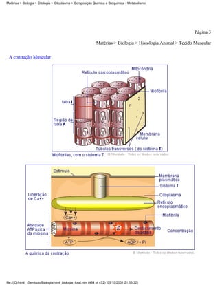 Matérias > Biologia > Citologia > Citoplasma > Composição Química e Bioquímica - Metabolismo




                                                                                                              Página 3

                                                              Matérias > Biologia > Histologia Animal > Tecido Muscular


 A contração Muscular




file:///C|/html_10emtudo/Biologia/html_biologia_total.htm (464 of 472) [05/10/2001 21:56:32]
 