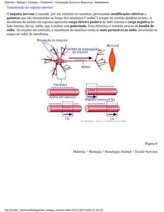 Matérias > Biologia > Citologia > Citoplasma > Composição Química e Bioquímica - Metabolismo

 Transmissão do impulso nervoso
 O impulso nervoso é causado por um estímulo no neurônio, provocando modificações elétricas e
 químicas que são transmitidas ao longo dos neurônios (“ondas”) sempre no sentido dendrito-axônio. A
 membrana do axônio em repouso apresenta carga elétrica positiva do lado externo e carga negativa do
 lado interno; diz-se, então, que o axônio está polarizado. Essa diferença é mantida através da bomba de
 sódio. Ao receber um estímulo, a membrana do neurônio torna-se mais permeável ao sódio, invertendo as
 cargas ao redor da membrana.




                                                                                                               Página 6

                                                                Matérias > Biologia > Histologia Animal > Tecido Nervoso




file:///C|/html_10emtudo/Biologia/html_biologia_total.htm (469 of 472) [05/10/2001 21:56:33]
 
