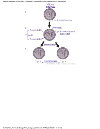 Matérias > Biologia > Citologia > Citoplasma > Composição Química e Bioquímica - Metabolismo




file:///C|/html_10emtudo/Biologia/html_biologia_total.htm (48 of 472) [05/10/2001 21:56:10]
 