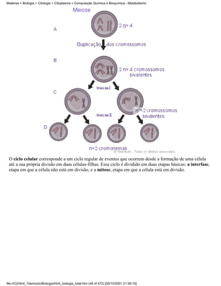 Matérias > Biologia > Citologia > Citoplasma > Composição Química e Bioquímica - Metabolismo




 O ciclo celular corresponde a um ciclo regular de eventos que ocorrem desde a formação de uma célula
 até a sua própria divisão em duas células-filhas. Esse ciclo é dividido em duas etapas básicas: a interfase,
 etapa em que a célula não está em divisão, e a mitose, etapa em que a célula está em divisão.




file:///C|/html_10emtudo/Biologia/html_biologia_total.htm (49 of 472) [05/10/2001 21:56:10]
 