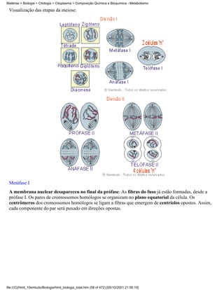 Matérias > Biologia > Citologia > Citoplasma > Composição Química e Bioquímica - Metabolismo

 Visualização das etapas da meiose:




 Metáfase I
 A membrana nuclear desapareceu no final da prófase. As fibras do fuso já estão formadas, desde a
 prófase I. Os pares de cromossomos homólogos se organizam no plano equatorial da célula. Os
 centrômeros dos cromossomos homólogos se ligam a fibras que emergem de centríolos opostos. Assim,
 cada componente do par será puxado em direções opostas.




file:///C|/html_10emtudo/Biologia/html_biologia_total.htm (58 of 472) [05/10/2001 21:56:10]
 